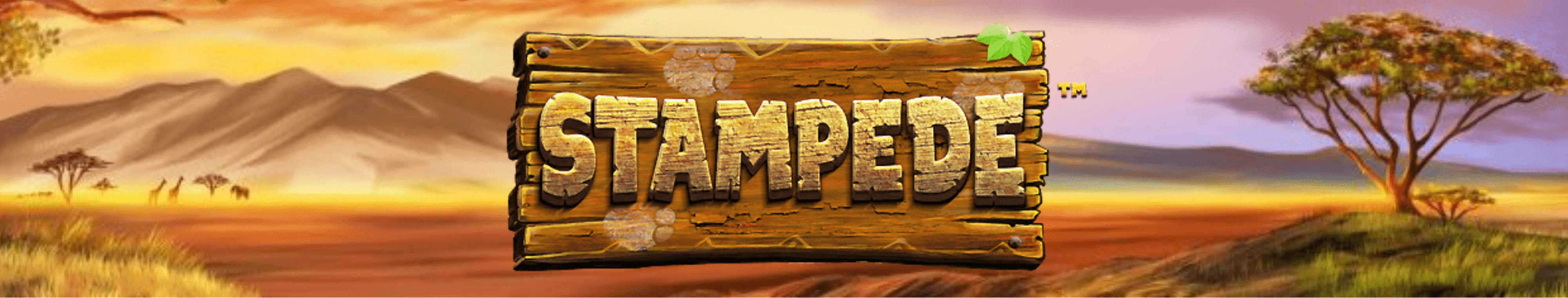 Stampede Jackpot Online Slot Demo Game by EYECON