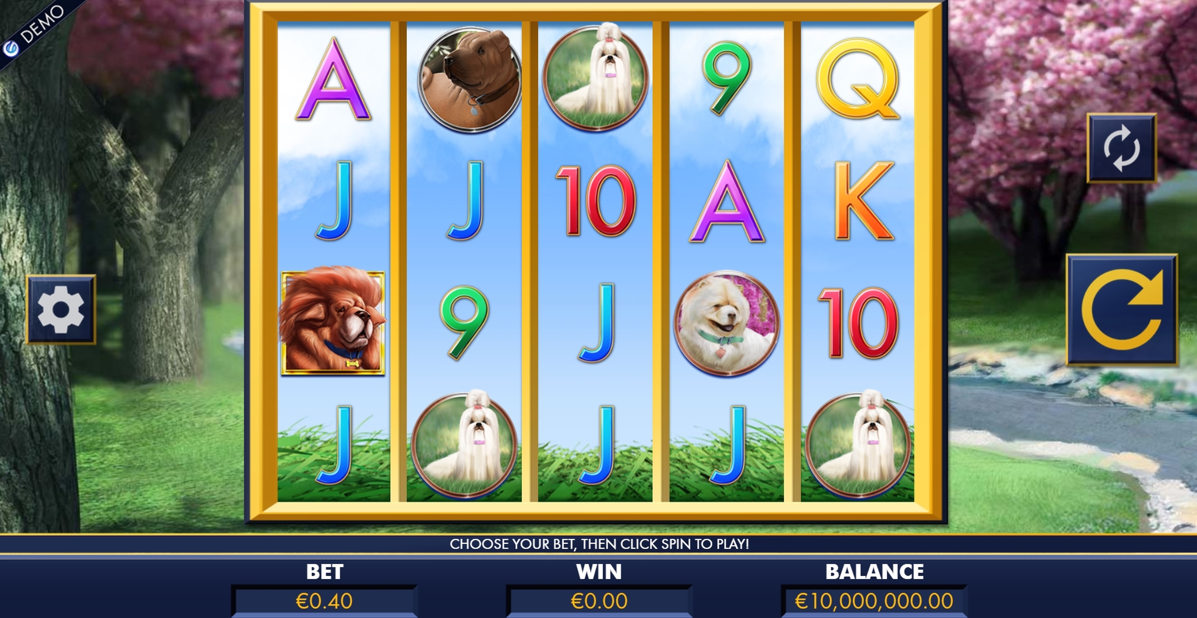 Reels in A bark in the park Slot Game by Genesis Gaming