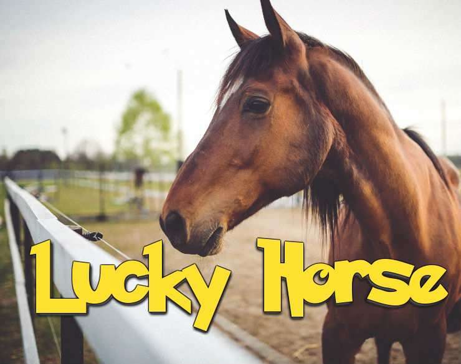 The Lucky Horse Online Slot Demo Game by High 5 Games