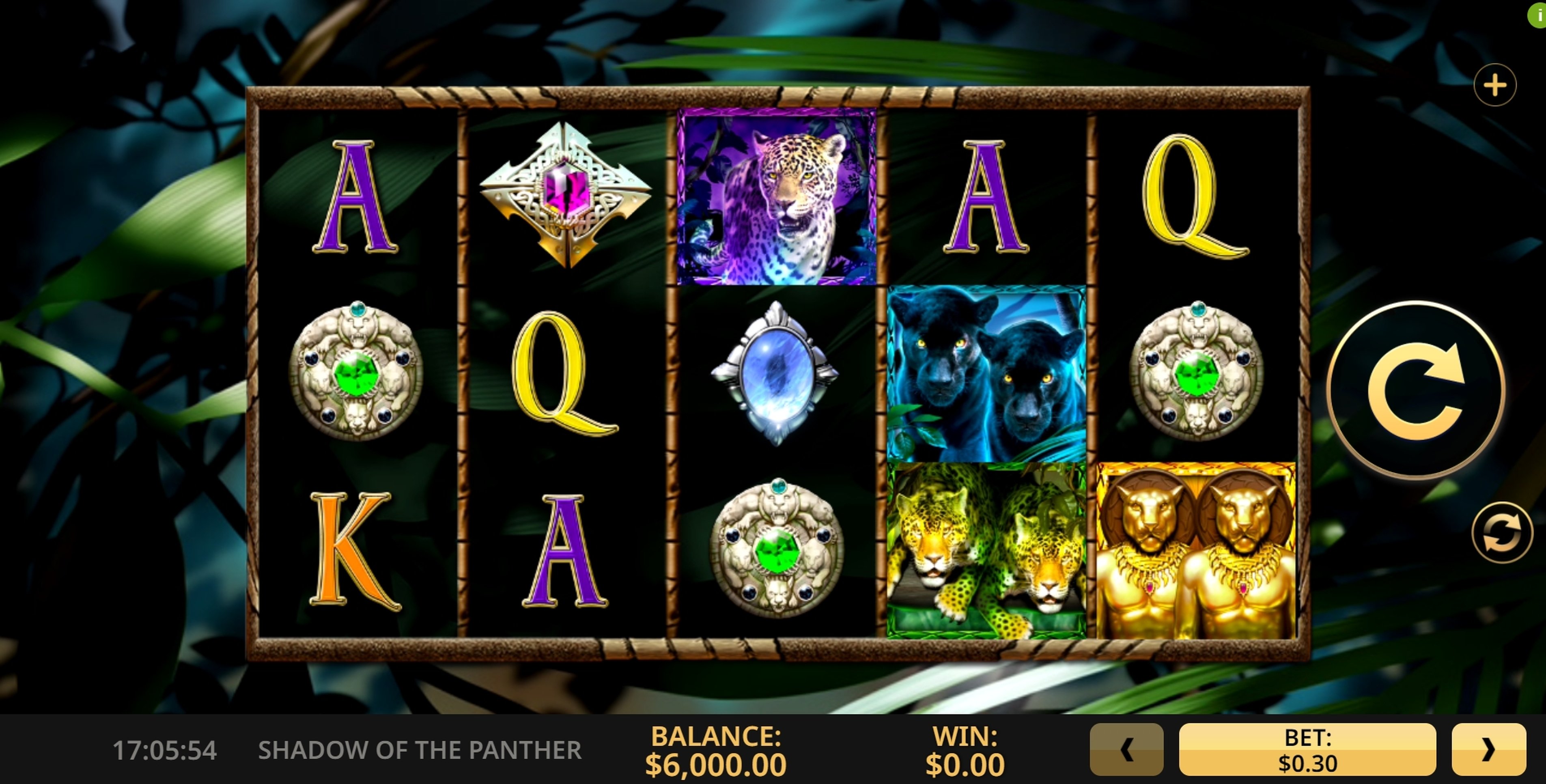 Shadow of the Panther Power Bet Slot Machine