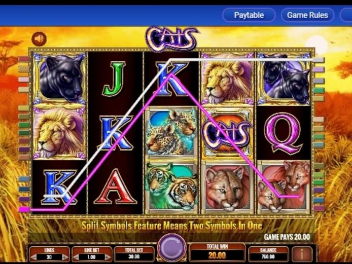 Cats demo play, Slot Machine Online by IGT Review | CasinosAnalyzer.com