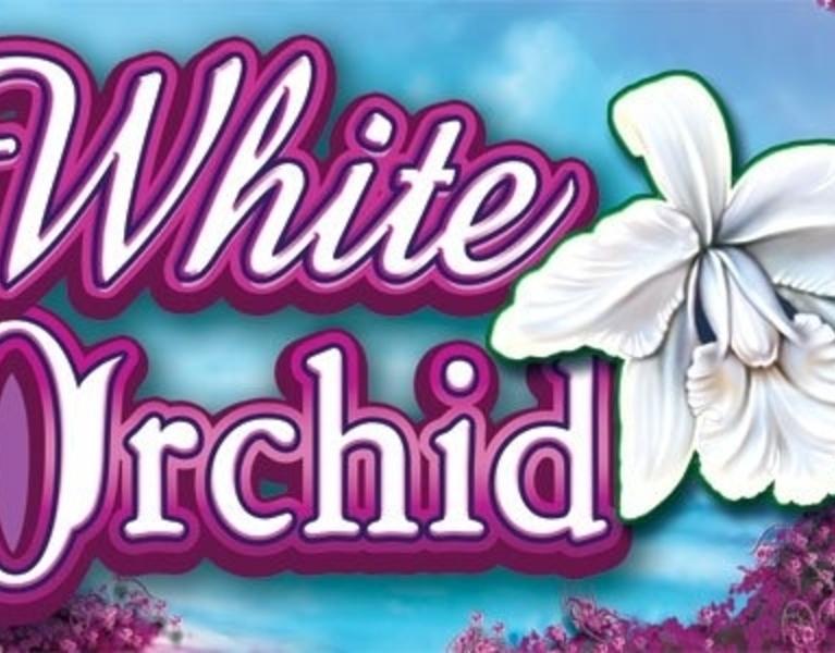 free online white orchid slots machine