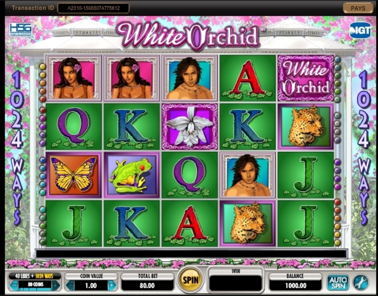 Play white orchid slot machine game