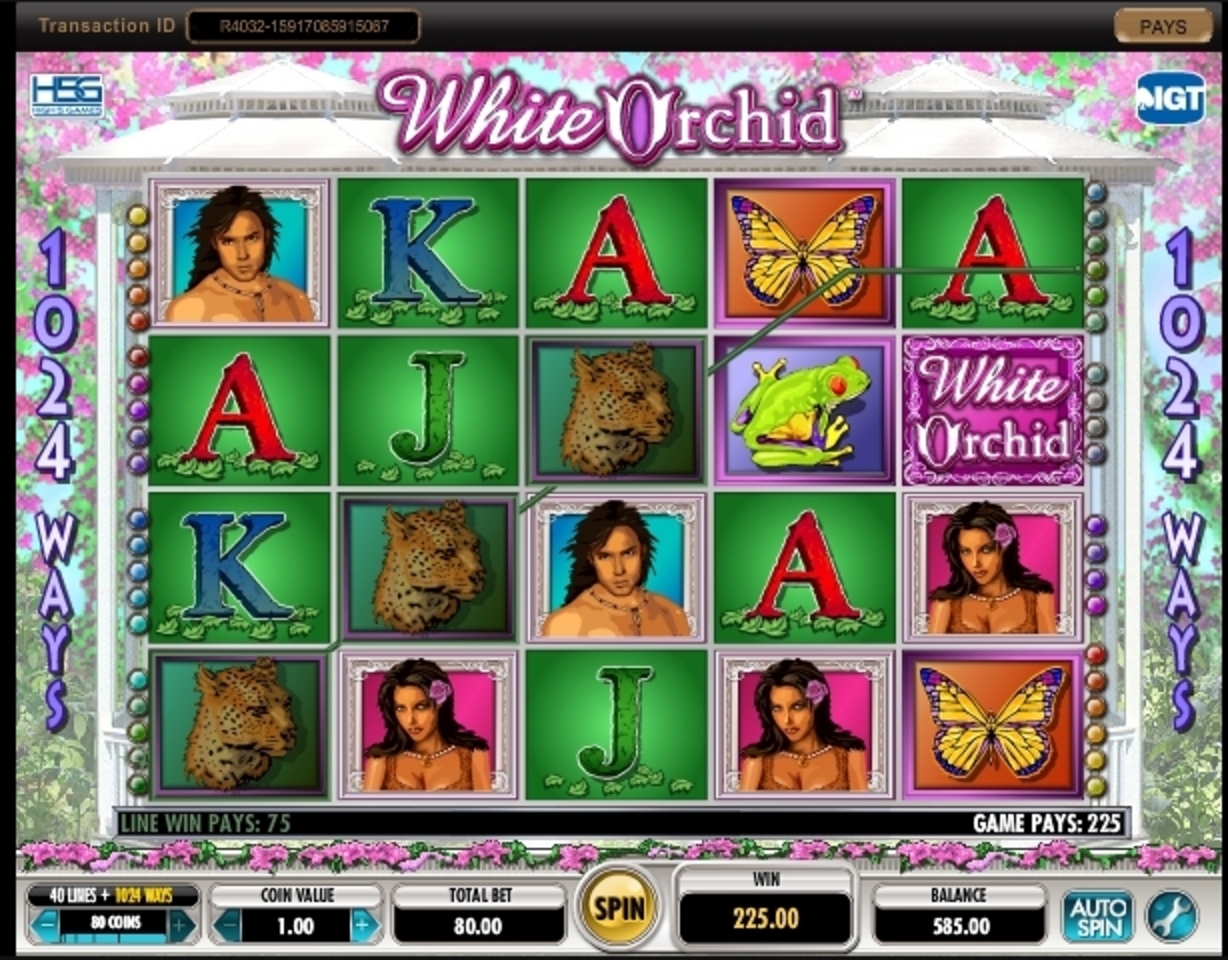 Win Money in White Orchid Free Slot Game by IGT