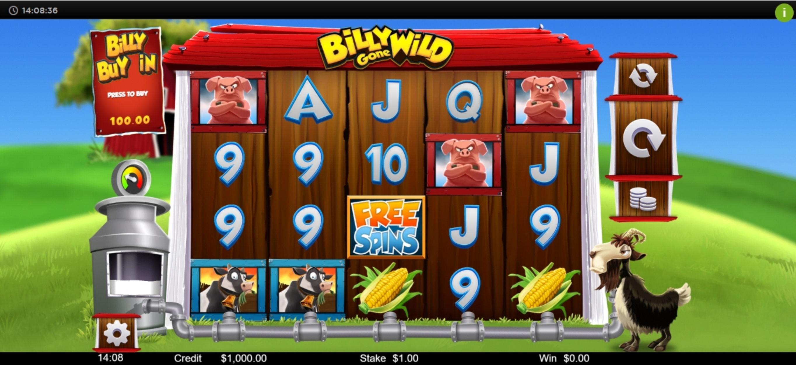 Reels in Billy Gone WIld Slot Game by Live 5 Gaming