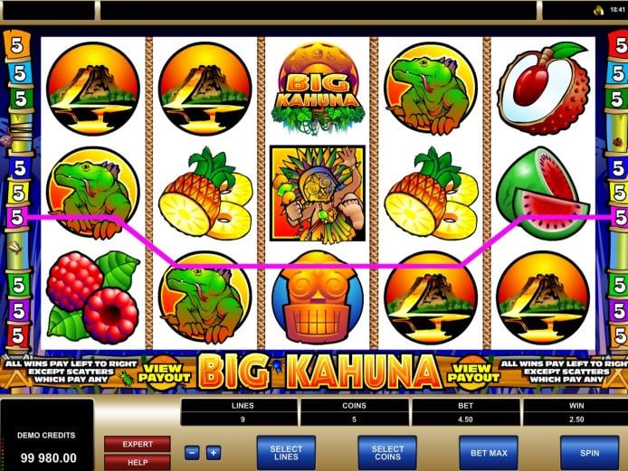 Big Kahuna demo play, Slot Machine Online by Microgaming Review