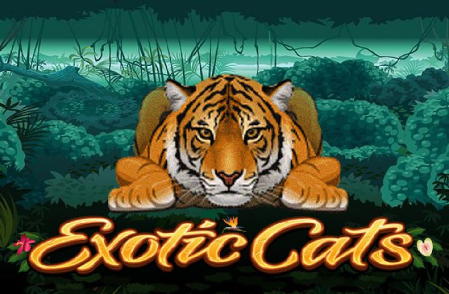 The Exotic Cats Online Slot Demo Game by Microgaming
