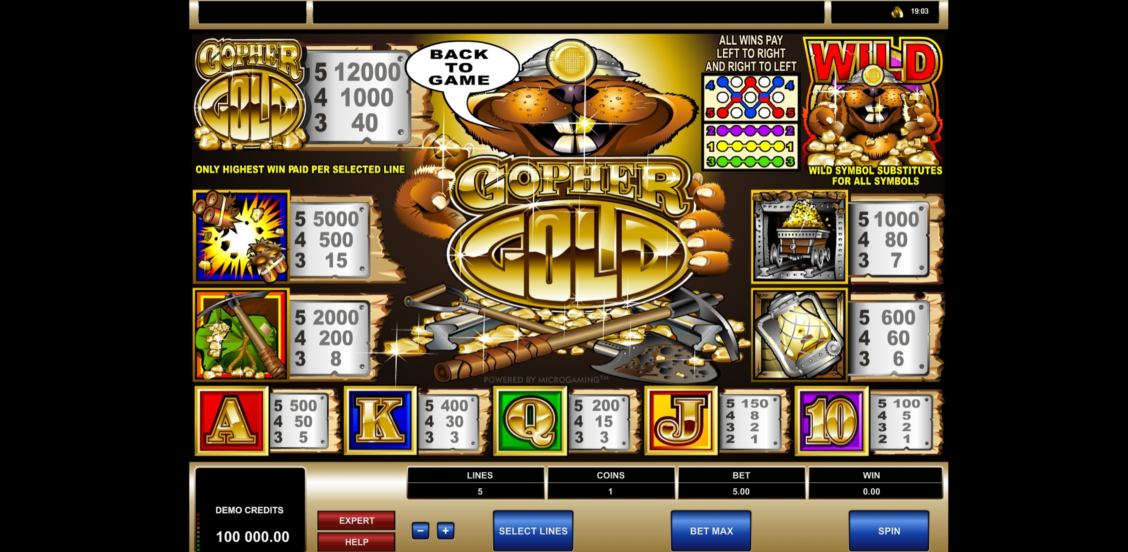 Info of Gopher Gold Slot Game by Microgaming