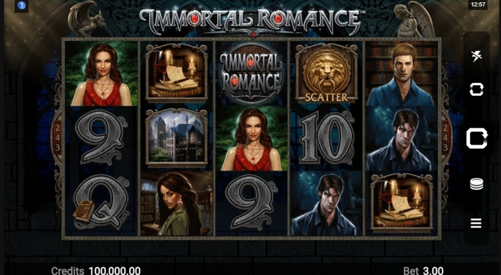 Reels in Immortal Romance Slot Game by Microgaming