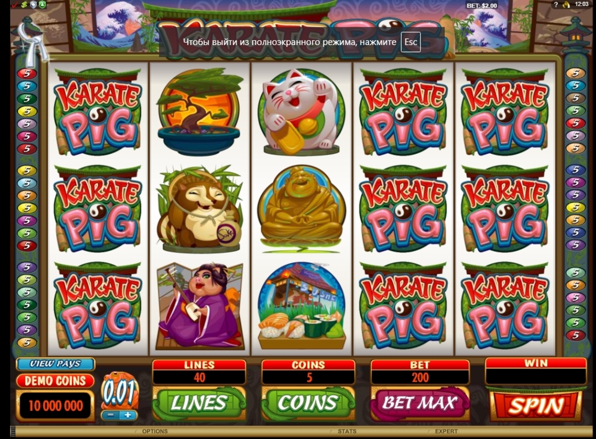 Reels in Karate Pig Slot Game by Microgaming