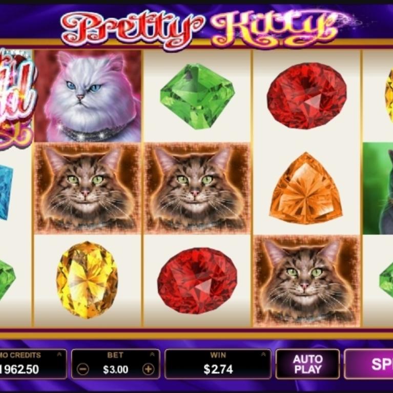 pace kitty slot machine