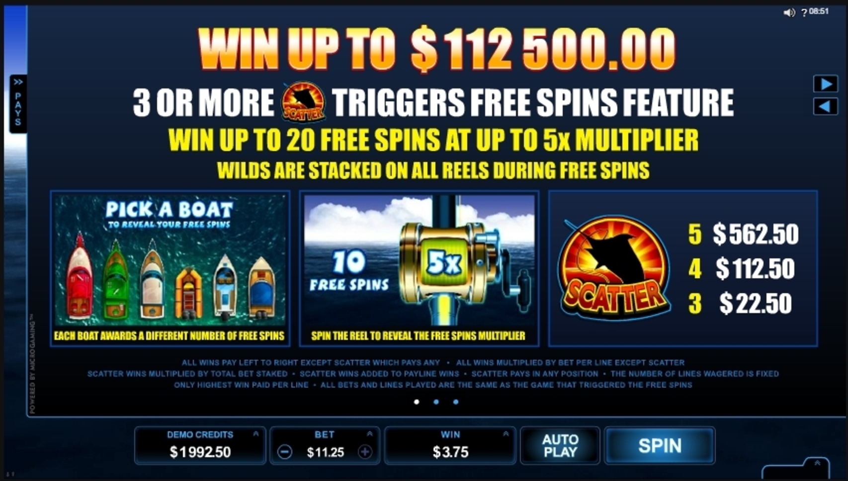 Info of Reel Spinner Slot Game by Microgaming