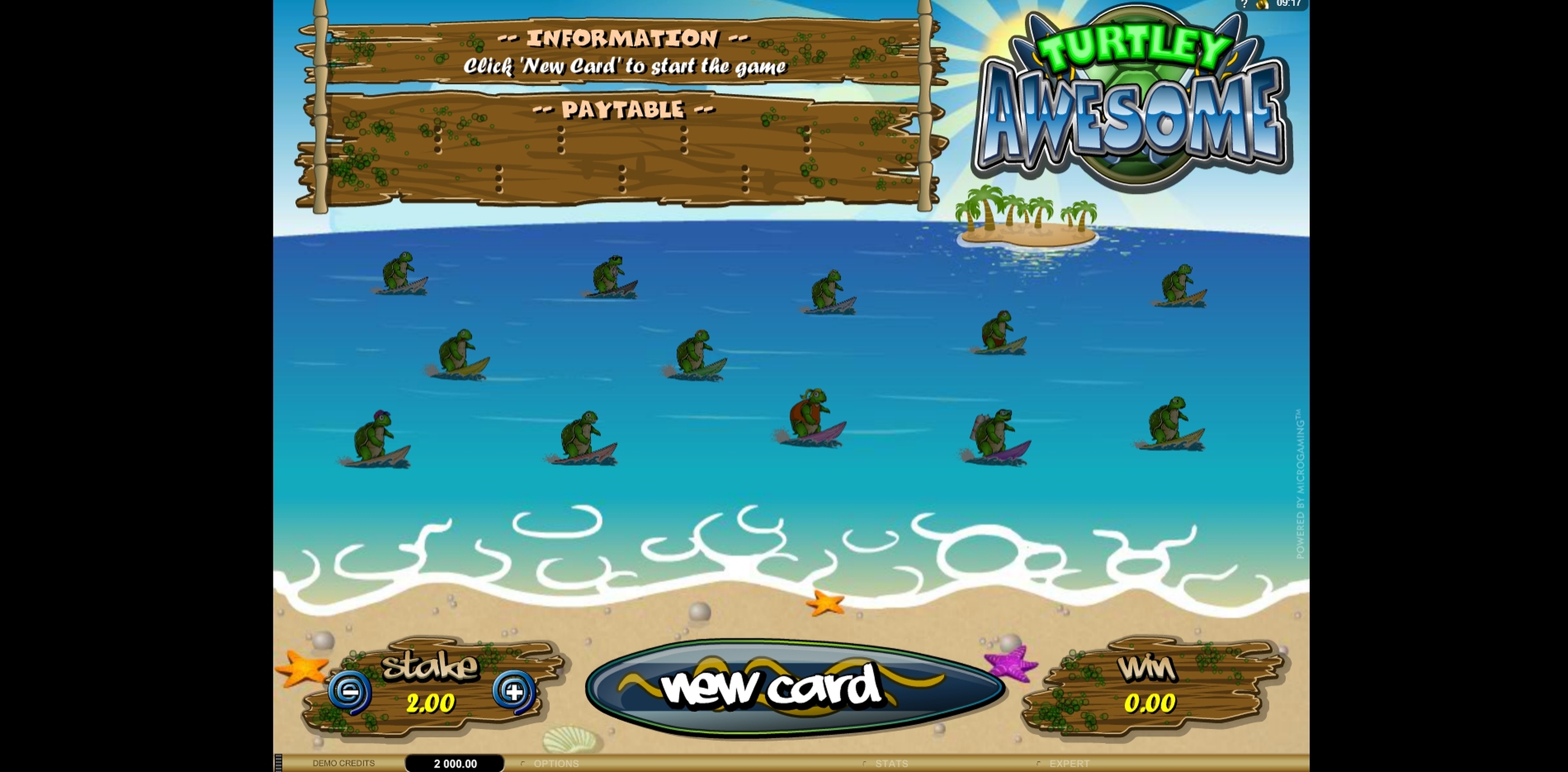 Reels in Turtley Awesome Slot Game by Microgaming