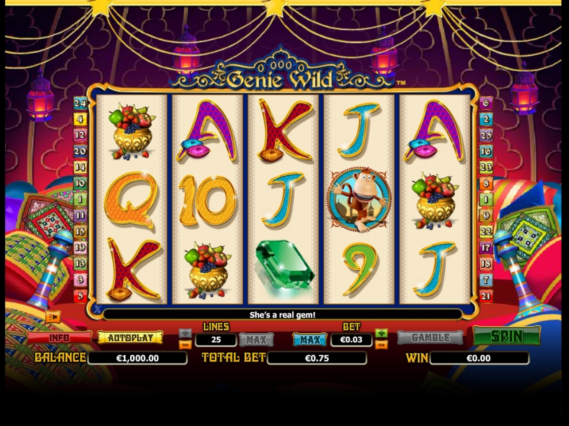 Reels in Genie Wild Slot Game by NextGen Gaming