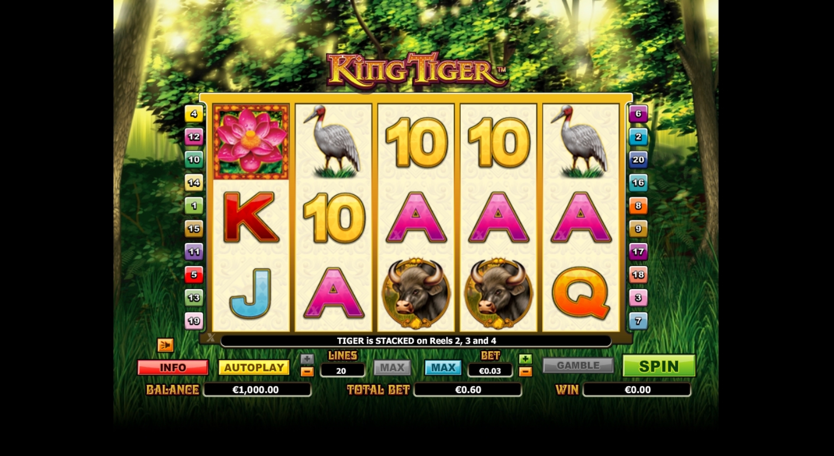 Reels in King Tiger Slot Game by NextGen Gaming