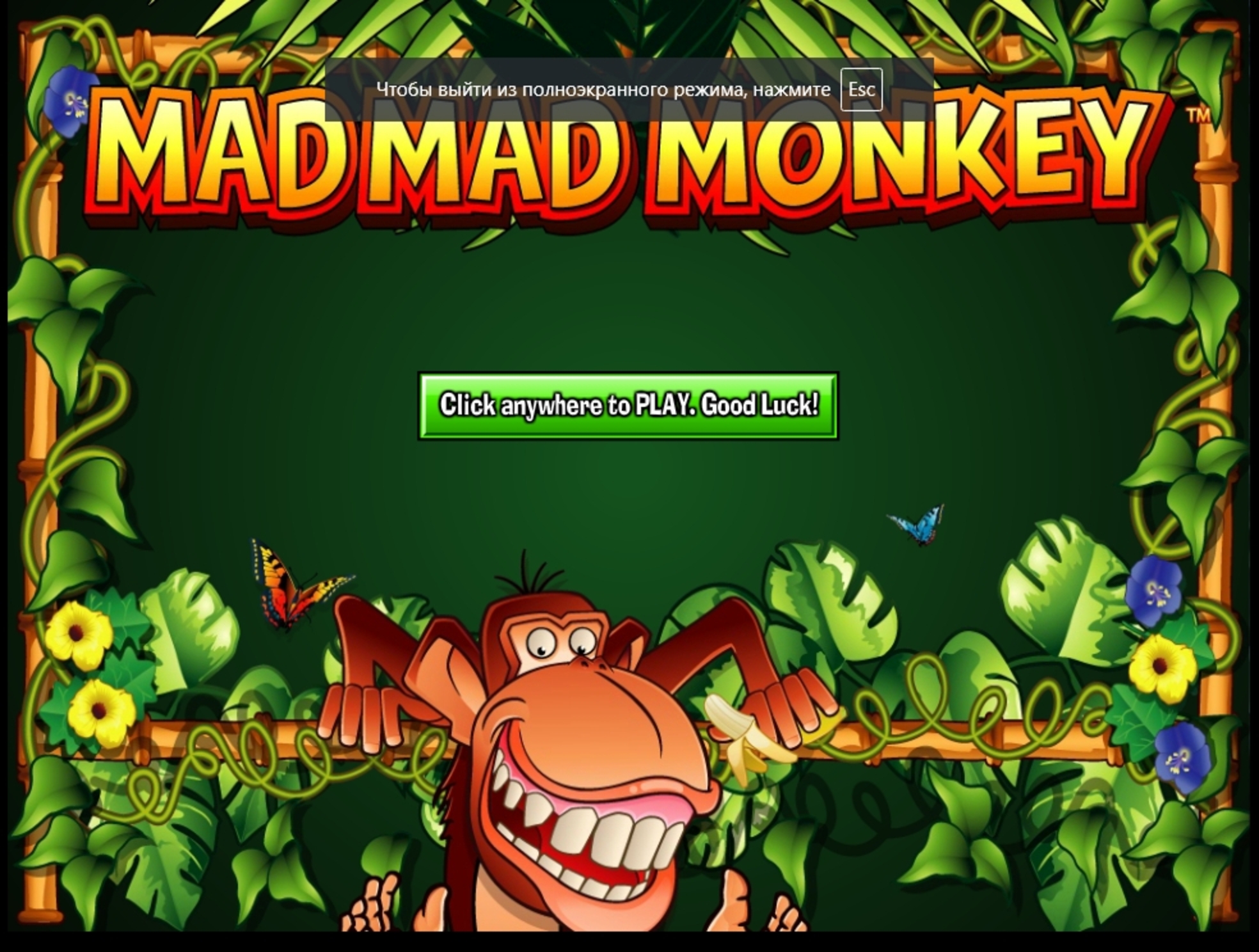 Play Mad Mad Monkey Free Casino Slot Game by NextGen Gaming