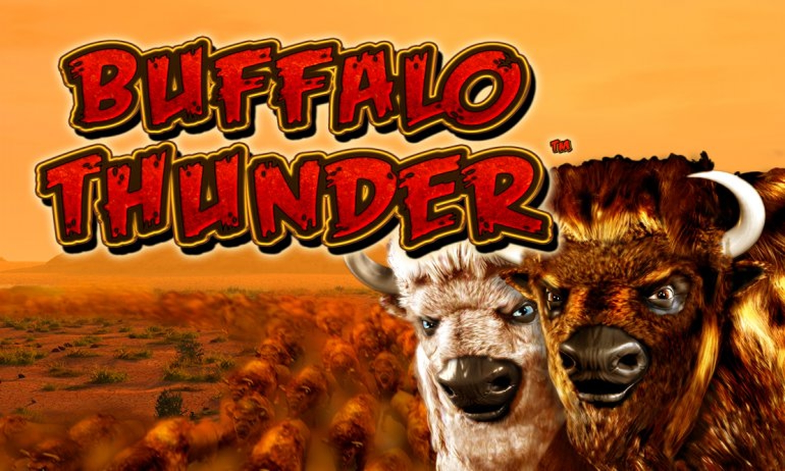 The Buffalo Thunder Deluxe Online Slot Demo Game by Novomatic