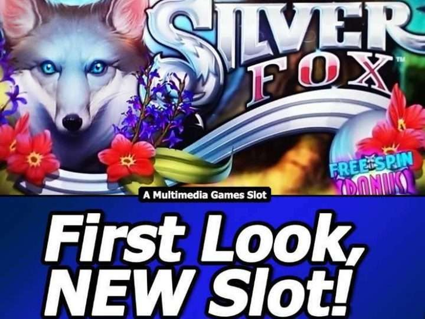 The Silver Fox Online Slot Demo Game by Novomatic