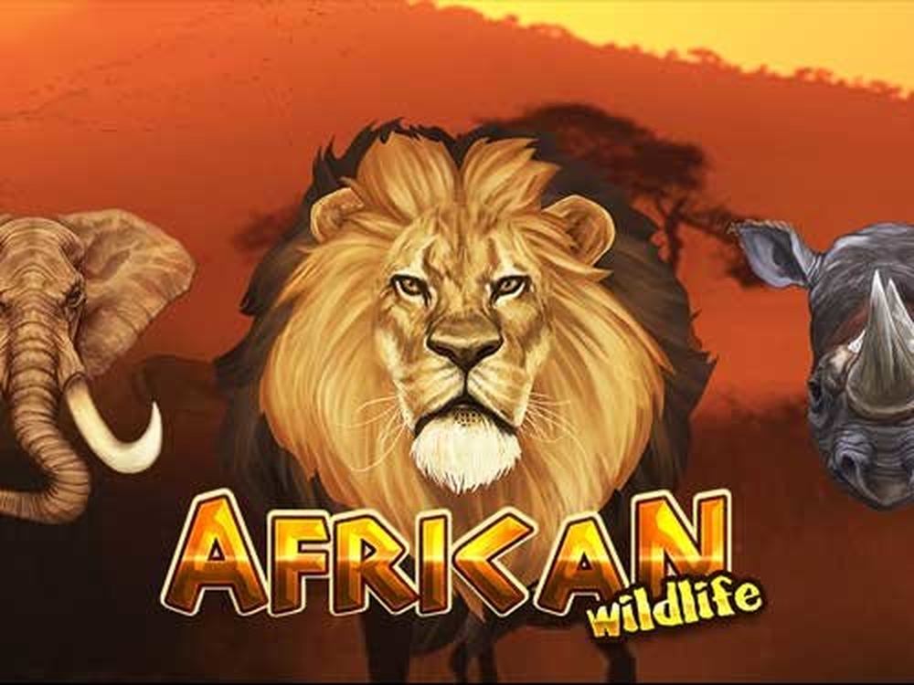 The African Wildlife Online Slot Demo Game by Platin Gaming