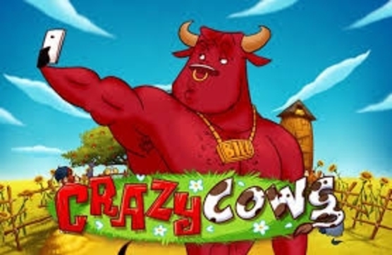 The Crazy Cows Online Slot Demo Game by Playn GO