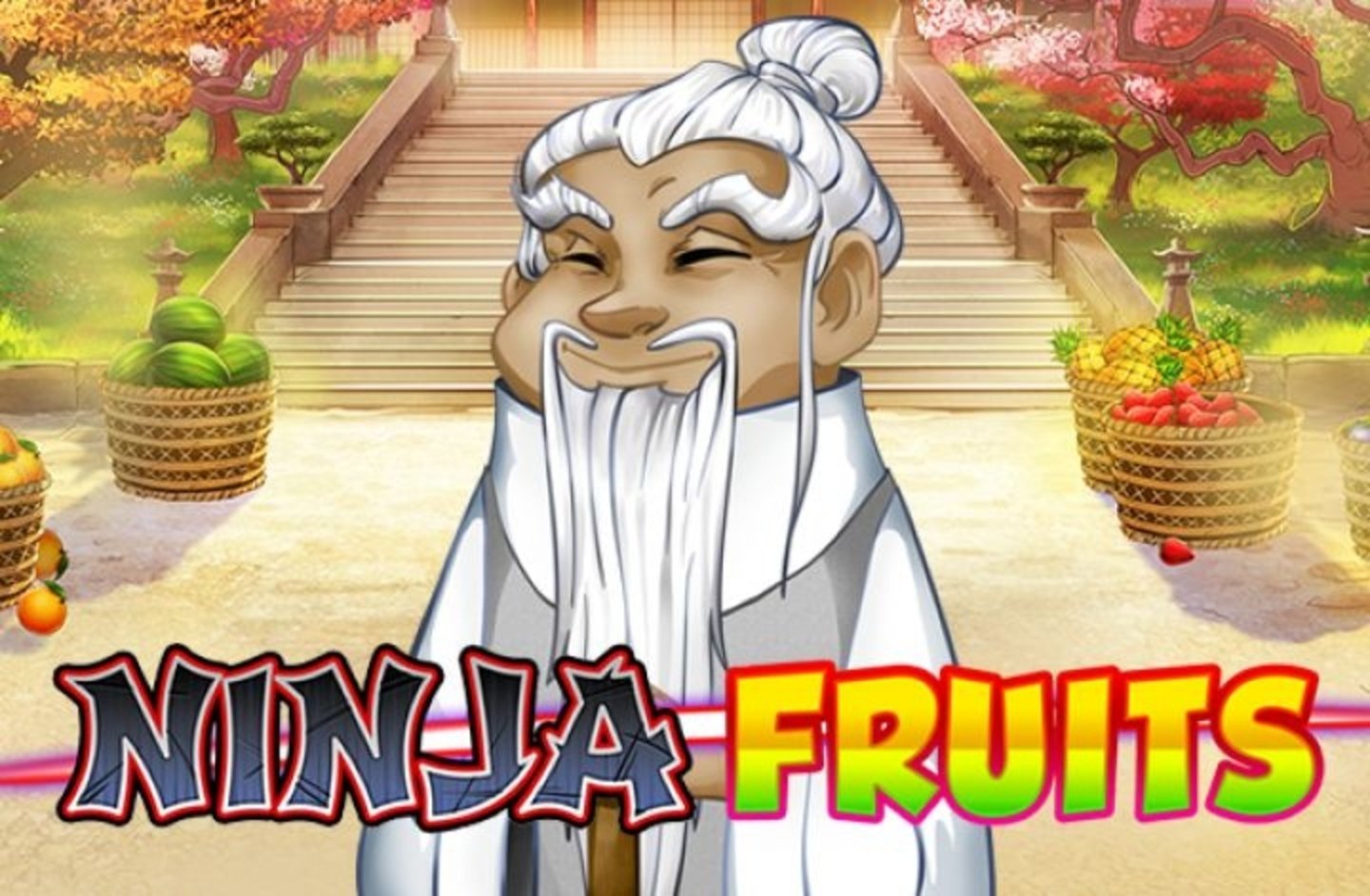 The Ninja Fruits Online Slot Demo Game by Playn GO