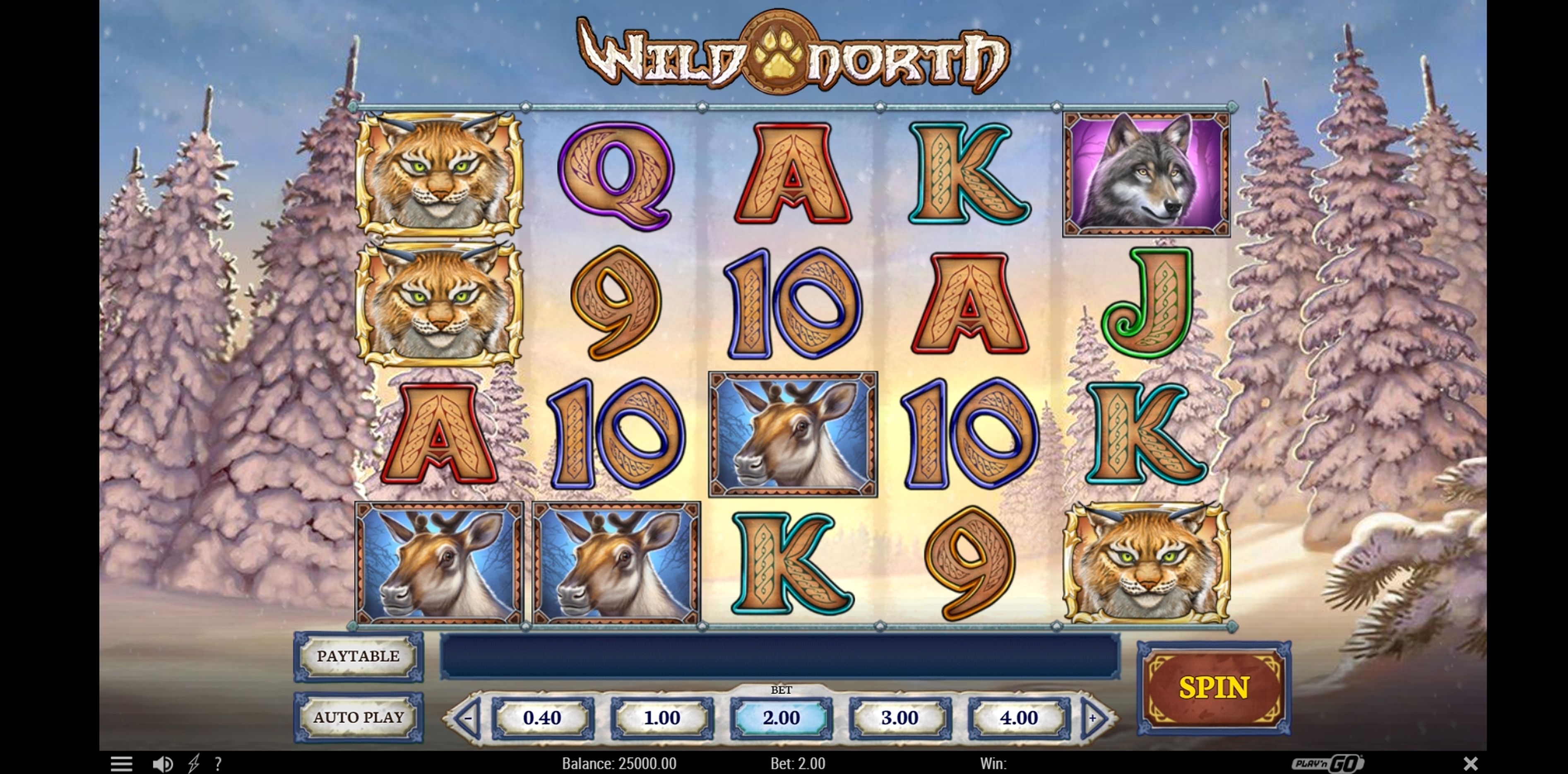 Reels in Wild North Slot Game by Playn GO