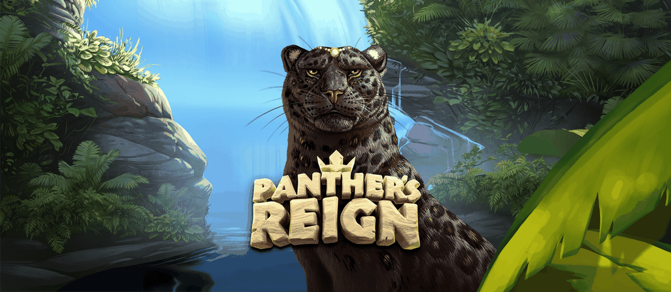 The Panthers Reign Online Slot Demo Game by Quickspin