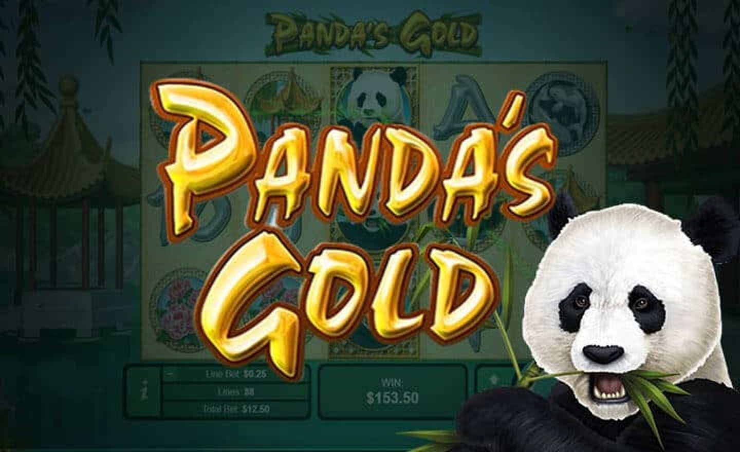 Panda's Gold (RTG) Online Slot Demo Game by Real Time Gaming