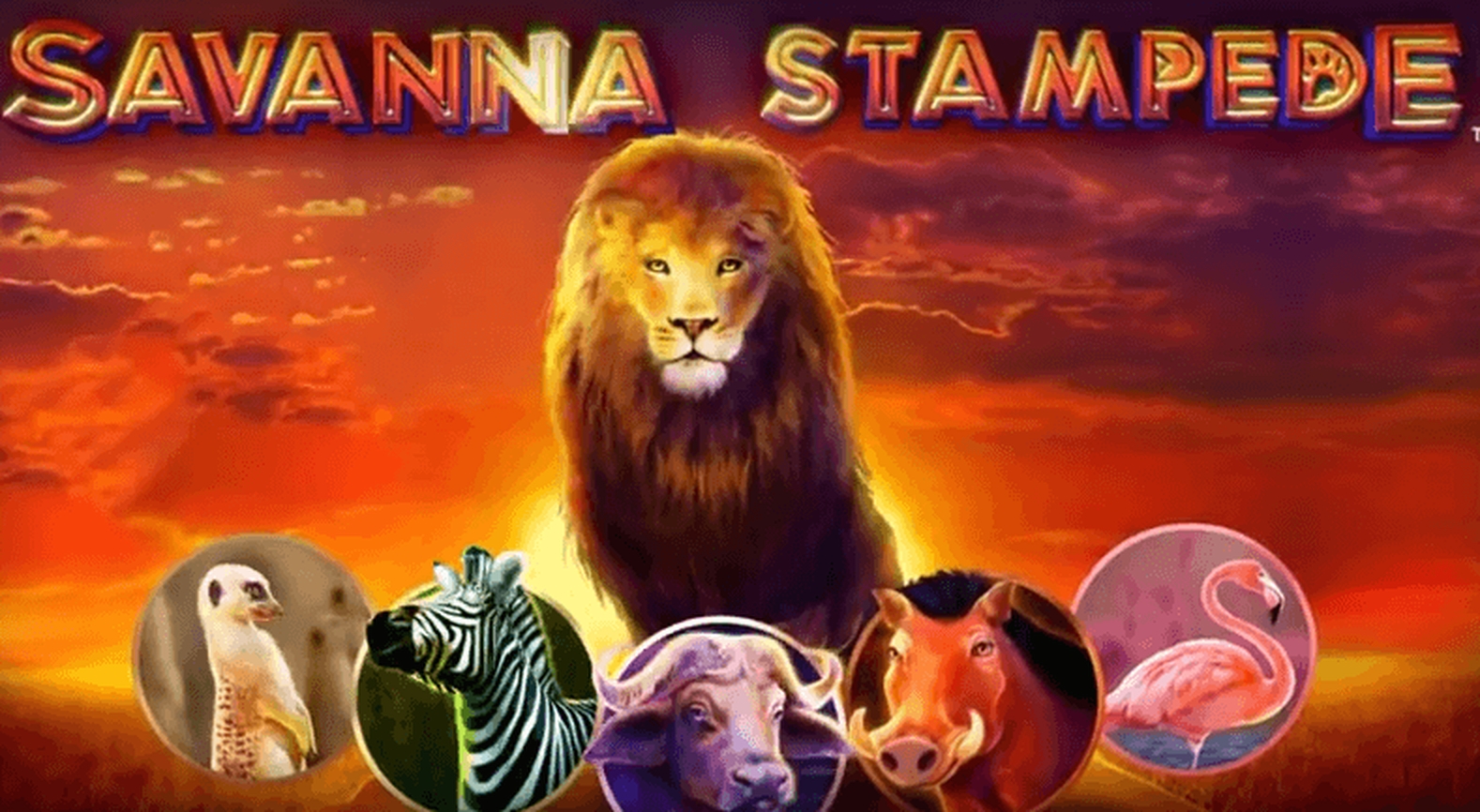 Reels in Savanna Stampede Slot Game by Reel Time Gaming