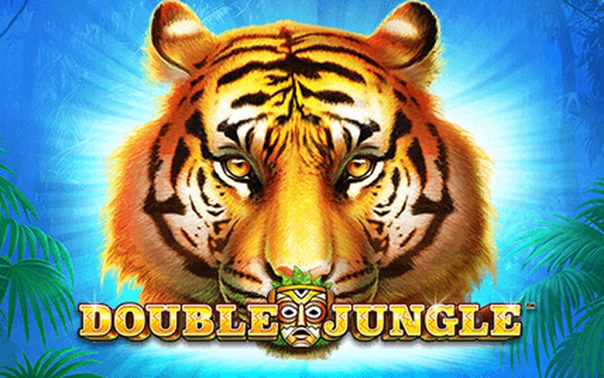 Win Money in Double Jungle Free Slot Game by Skywind