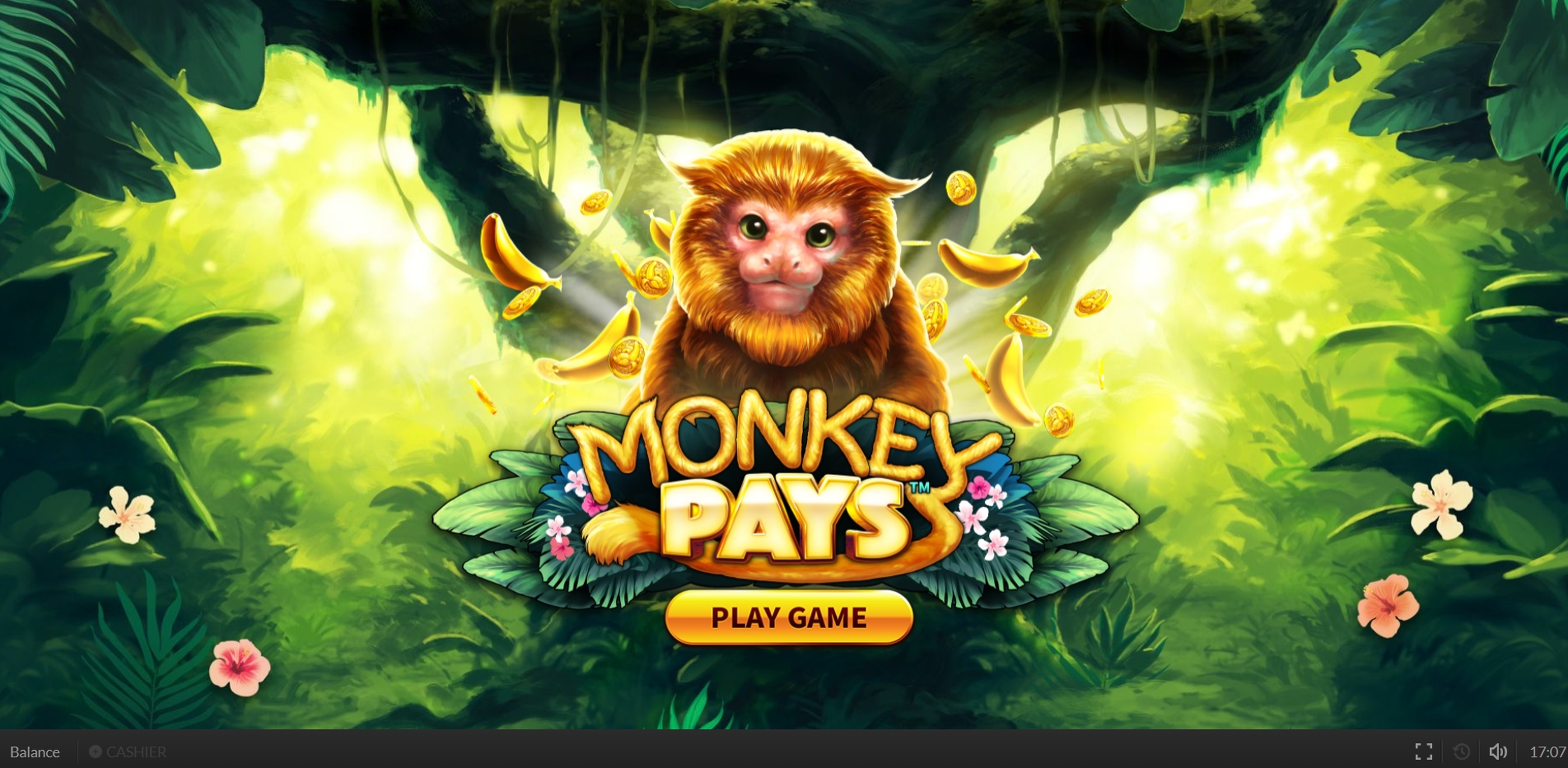 Win Money in Monkey Pays Free Slot Game by Skywind