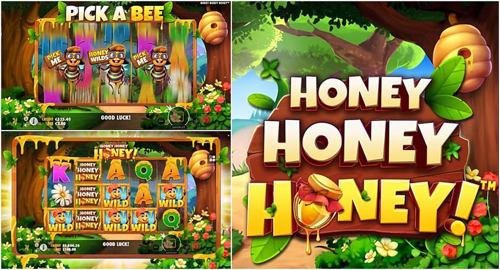 Honey Money (Spin Games) demo