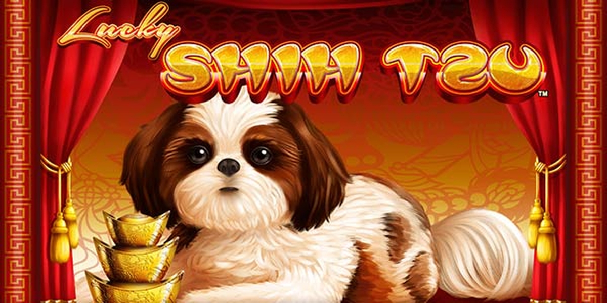 Lucky Shih Tzu demo