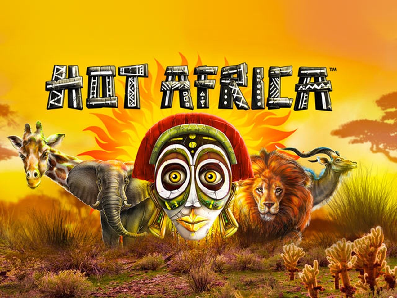 Hot Africa Online Slot Demo Game by Synot Games