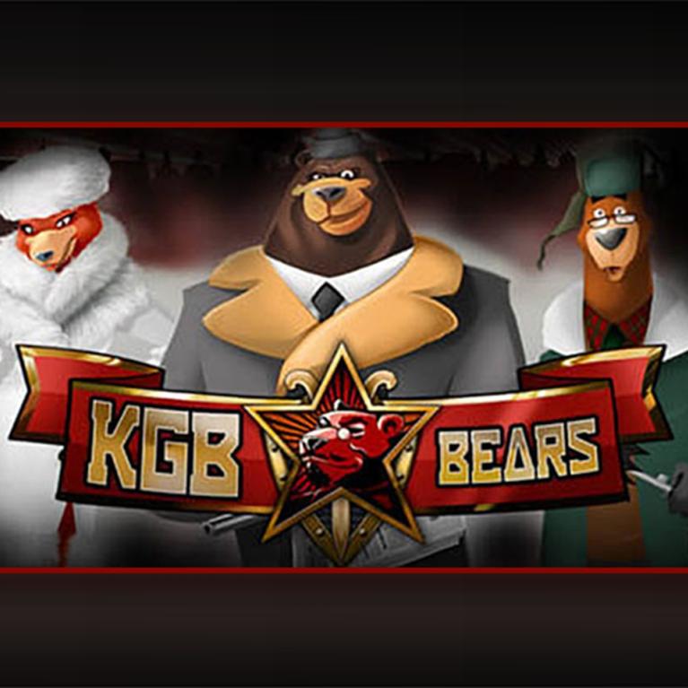 money bears slot machine online