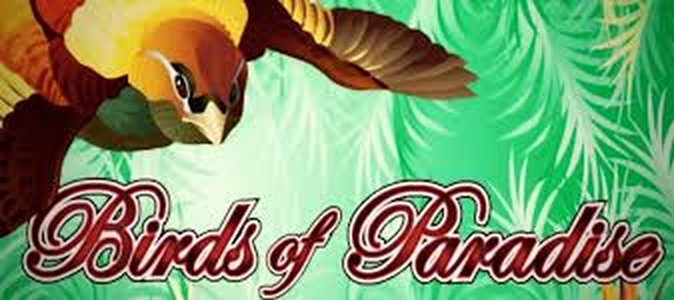 Birds Of Paradise demo