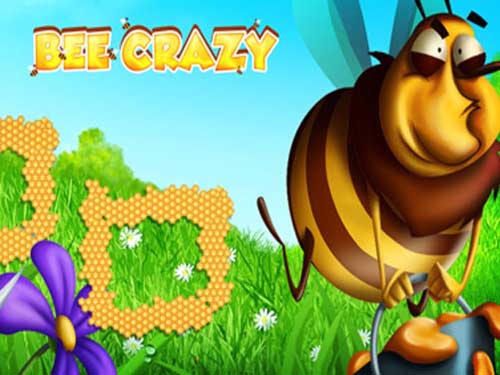 The Bee Crazy HD Online Slot Demo Game by World Match